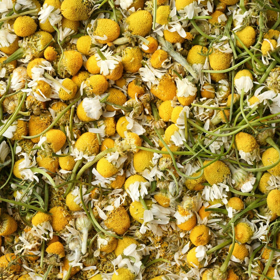 Dried Chamomile Flowers
