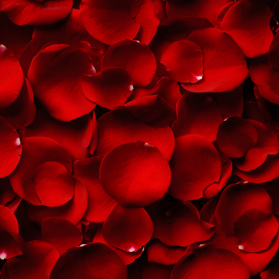 Red Rose Petals