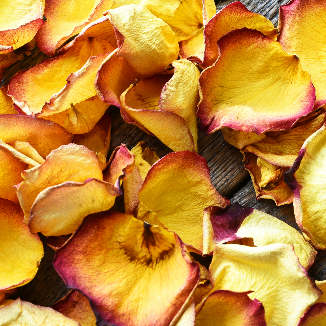 Yellow Rose Petals